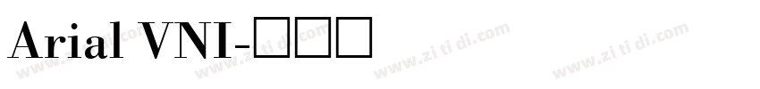 Arial VNI字体转换